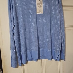 Zara Blue Sequin Blouse
